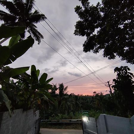 Greenview Homestay Kovalam Thiruvananthapuram Eksteriør billede