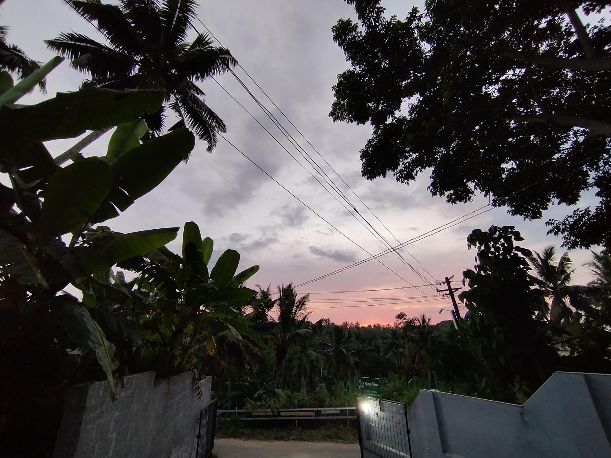 Greenview Homestay Kovalam Thiruvananthapuram Eksteriør billede
